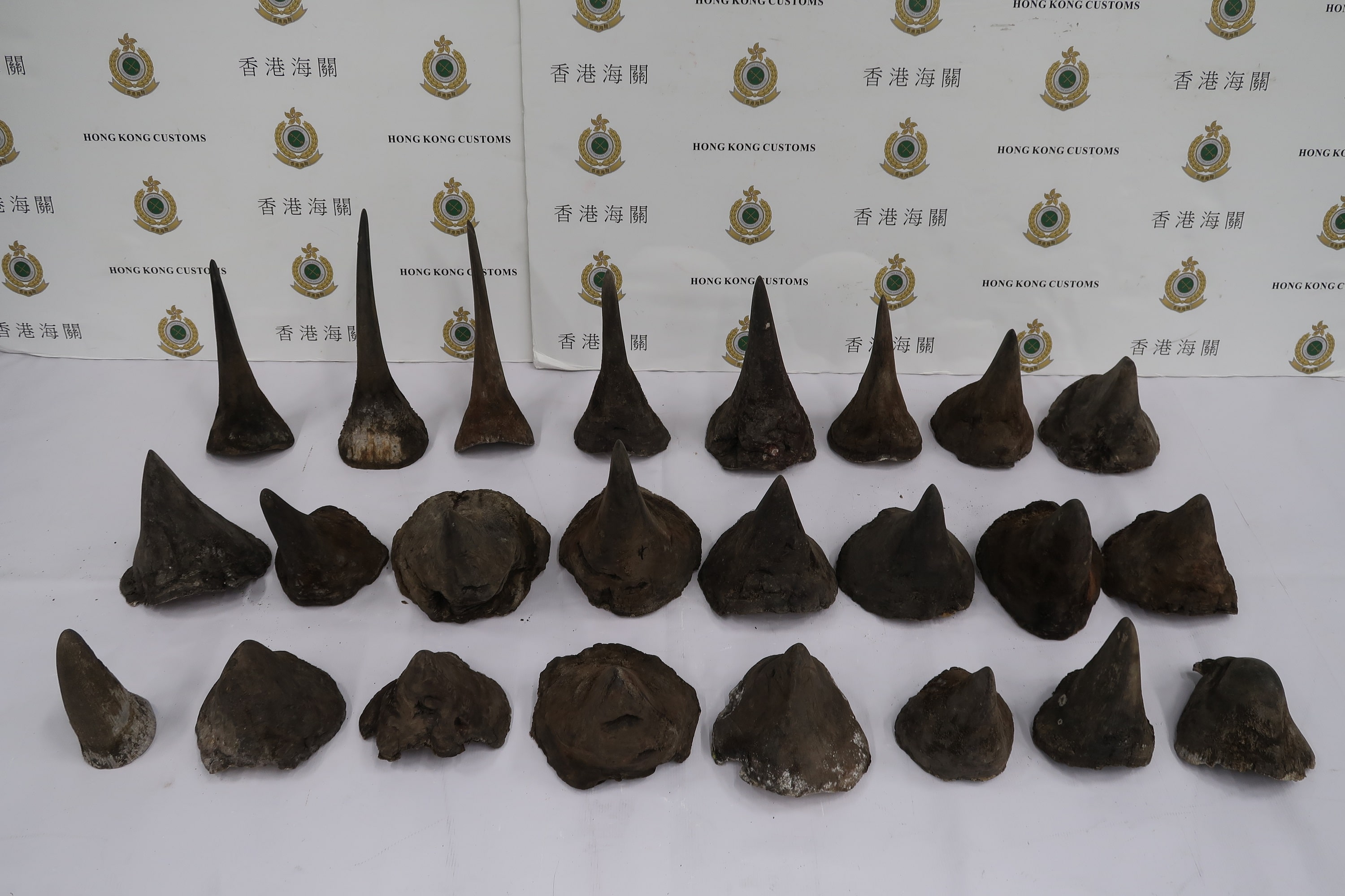Hong Kong Customs seize massive 40kg of rhino horns en route from South Africa to Vietnam